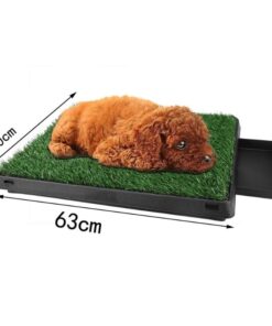 dimensions grande litière pour chien
