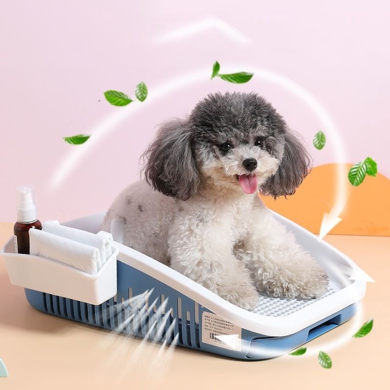 Comment choisir une litière pour son chien ?