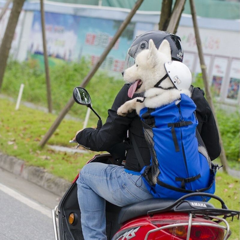 Sac à dos chien moto - Monde du Chien