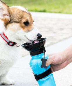Gourde distributeur d'eau chien en photo