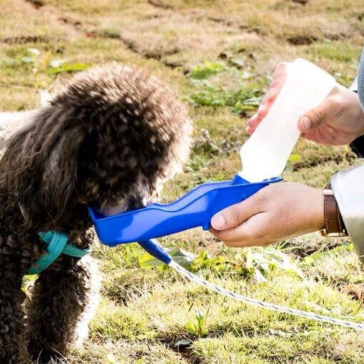 Gourde gamelle pour chien qui boit de l'eau
