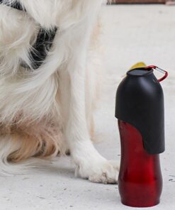 Gourde isotherme pour chien thermos