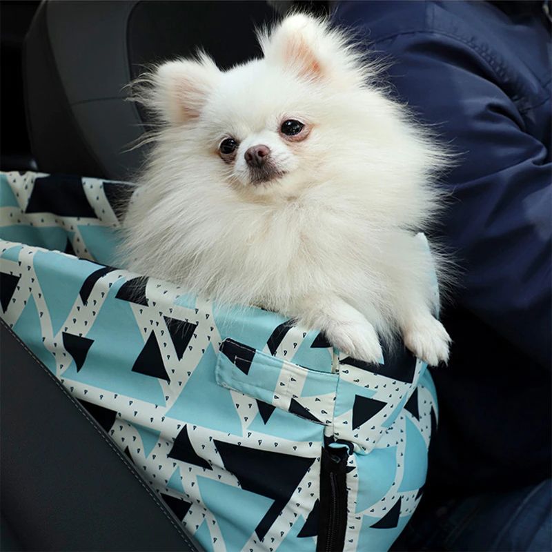 siège auto pour chien chihuahua - Monde du Chien