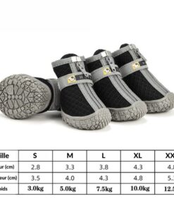 Guide de taille chaussures pour chien canicross